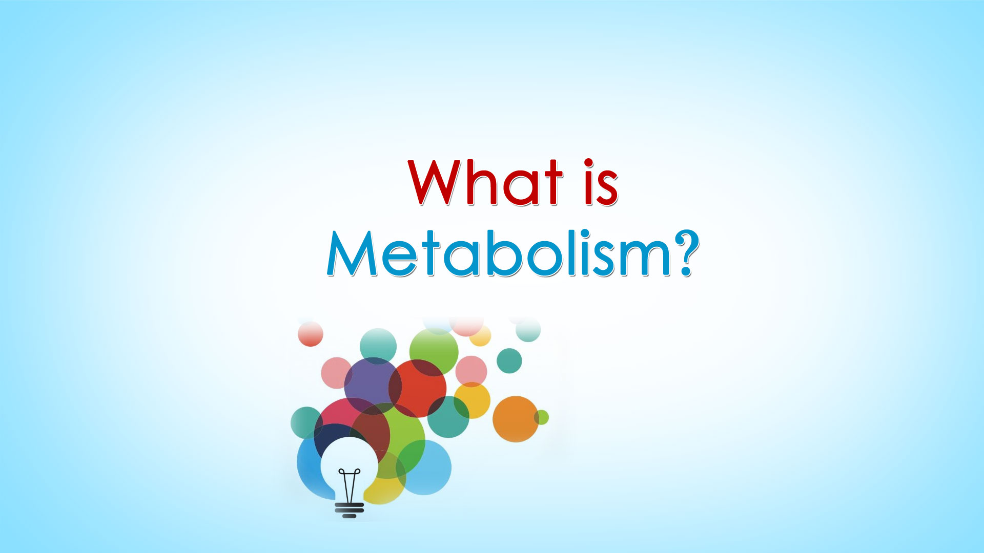 what is metabolism
