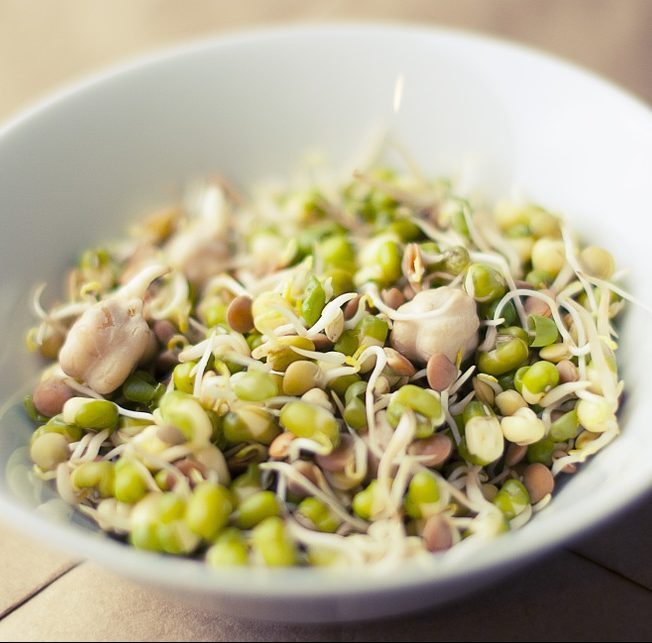 Sprouts for weight loss
