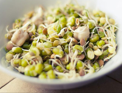 Sprouts for weight loss