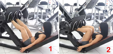 Leg press exercise